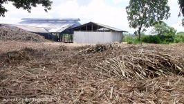 Sugar jaggery production in Migori Kenya process