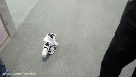 ربات نمایشگاه جیتکس 2017