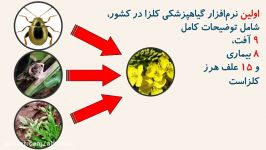 راهنمای کار اپلیکیشن «دستنامه گیاهپزشکی کلزا»