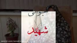 مستند جوانی شهید مهدی حقانی نجاران