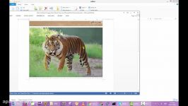 How to Extract Images Text and Embedded Files from Word Excel and PowerPoint Documents