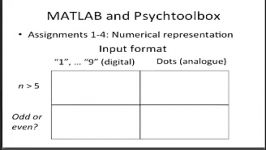 MATLAB Psychtoolbox Tutorial Part9 Data on numerical cognition