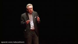 The myth of globalisation  Peter Alfandary  TEDxAix