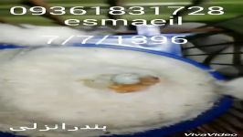 جفت سهره سهره جوجه کشی قفس