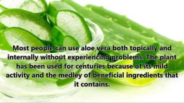 Why Aloe vera Good for Men Benefits of aloe vera for male enhancement  Zinta