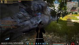 Black Desert Online  How to Get Better Drops