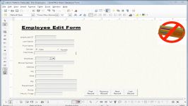 LibreOffice Base 13 Pattern Field