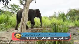 بالی، مجمع الجزایر اندونزی