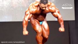 TOP 3 Caribbean Bodybuilders at 2017 Mr. Olympia