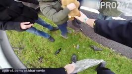 پلیس آلمان به بچهها عروسکمیده تااز شوک تصادف بیان بیرون