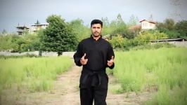 pencak silat پنچاک سیلات