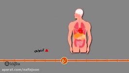 یک ساعت بعد خوردن نوشابه چه اتفاقاتی در بدن می افتد؟