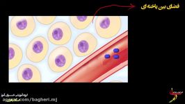 مایع بین یاخته ایی  فصل 2  زیست دهم