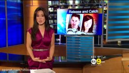 Sharon Tay 20111026 8PM KCAL9 HD Short sexy burgundy dress