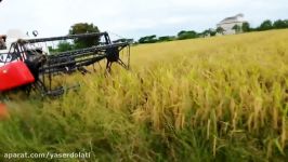 KUBOTA DC 70 Combine Harvester for Paddy and Corn