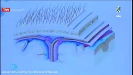 زیست استاد شیخی حتماااااا ببینید