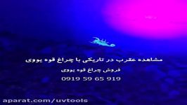 چراغ قوه ماورا بنفش