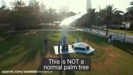 These smart palm trees in Dubai can charge your phone a