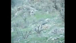 شهادت شیر مردان سپاه در درگیری گروهک منافق پژاک