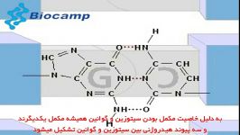 معرفی ساختار DNA RNA