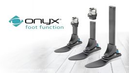 Foot Function  Onyx