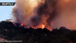 California wildfires devastate Silverado Trail wineries