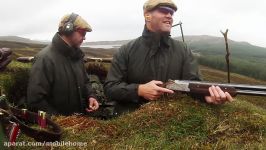 Driven grouse in Scotland