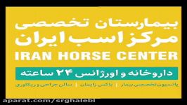 Equine orthopedic surgery in Iran Horse Center Vet. Ho