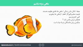 قهرمان زندگی خودت باش قسمت سوم