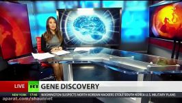 Schizophrenia gene linked to early brain development