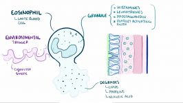 Asthma  causes symptoms diagnosis treatment pathology