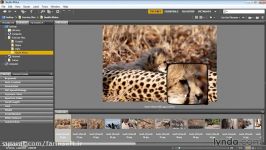 آموزش کامل نرم افزار Adobe Bridge  ویژه عکاسان