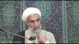 انتقاد شدید به نظر آیت الله مکارم شیرازی آیت الله وفسی