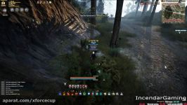 Gathering junk item selling results with Master 2 trade Black Desert Online BDO