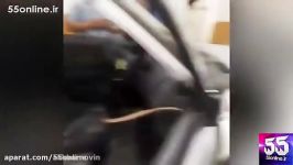 کشته شدن مأمور خودروی حمل پول بانک سپه در تمرین