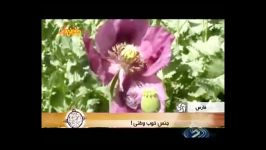 امامزاده بیژن در صرفا جهت اطلاع 14 آذر 92