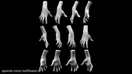 3DMotive  Hand Anatomy in ZBrush Volume 1