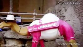 پارک آبی وایلد وادی Wild Wadi