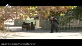 مردم بالا دست  معرفی روستای دروار