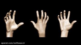 3DMotive  Hand Anatomy in ZBrush Volume 2