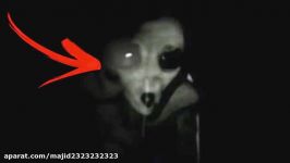 5 Scariest Creatures Caught On Camera