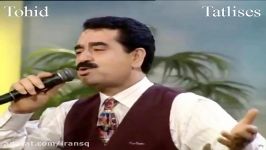 آهنگ حسرت کالدیم در ایبو شوو 1994