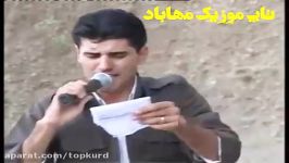 برهم شمامی 2013  تونی به رز خوش