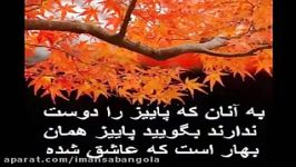 آهنگ غمگین عاشقانه احساسی ایرانی 6 Persian love song