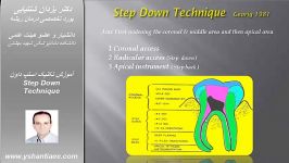 آموزش تکنیک استپ داون Step Down Technique