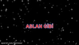 ÖZCAN DENİZ ASLAN GİBİ KARAOKE