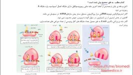 زیست شناسی کنکور پروتیین سازی