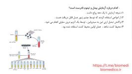 زیست شناسی کنکور پروتیین سازی