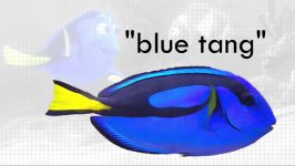 Film Theory Is Dory a LIAR Finding Dory  pt. 2