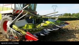 Claas Jaguar 900  Trinciato Mais 2016  Zilio